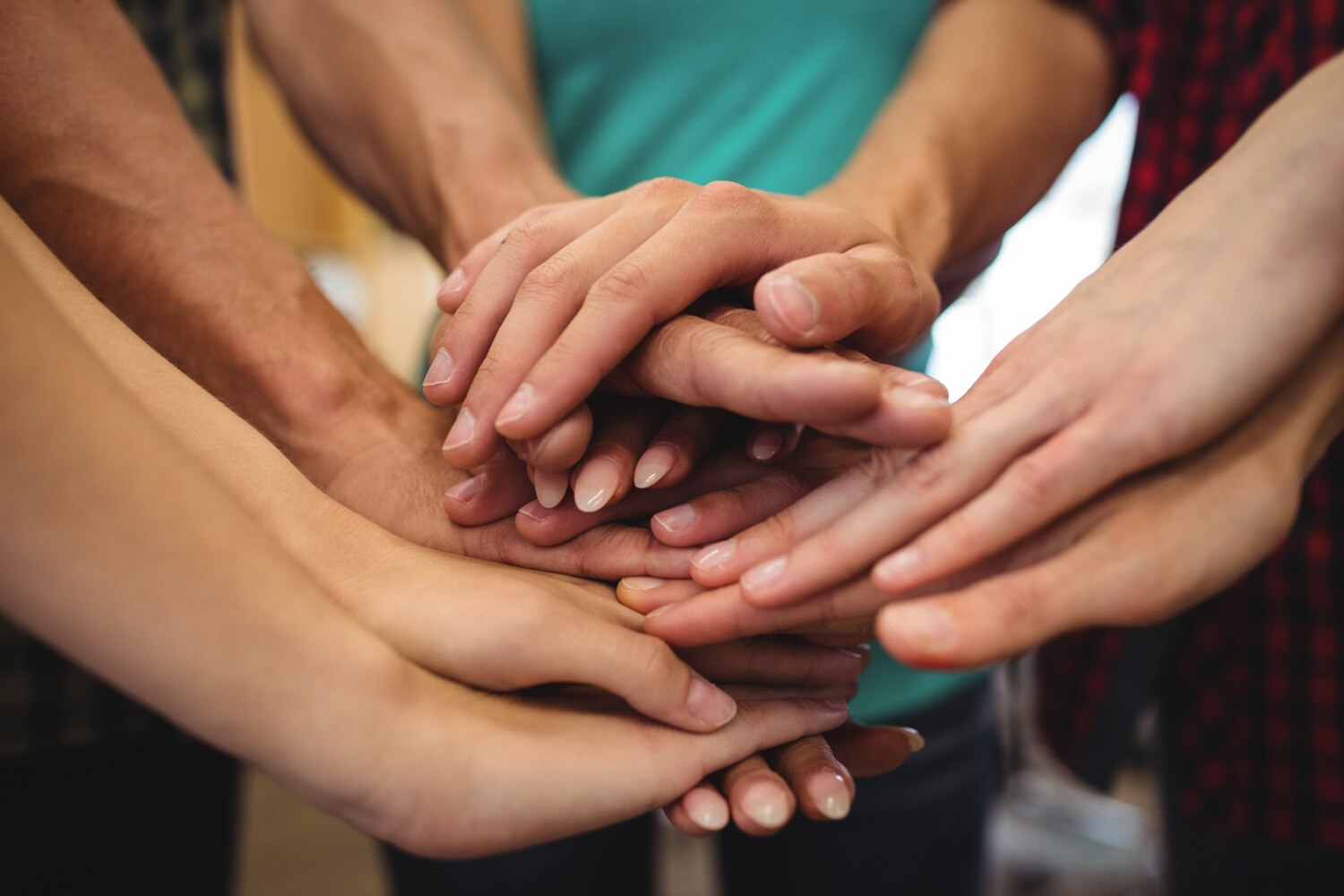 Personas colaborando en actividades de caridad.